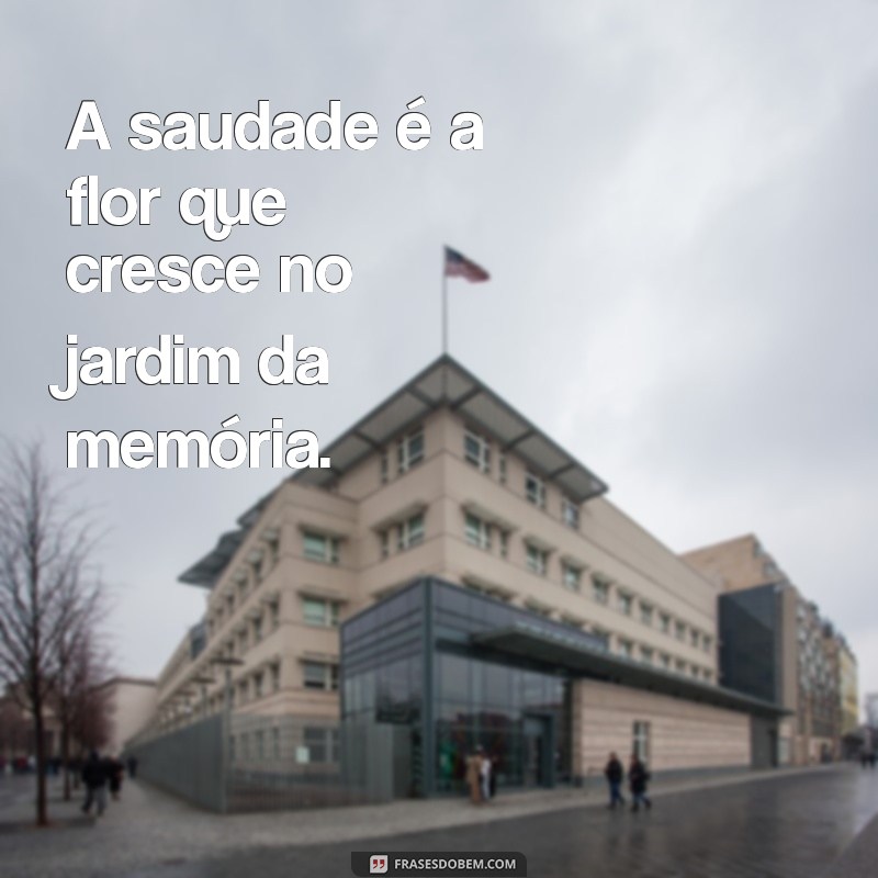 Frases Emocionantes de Saudade para Lembrar Quem Partiu 