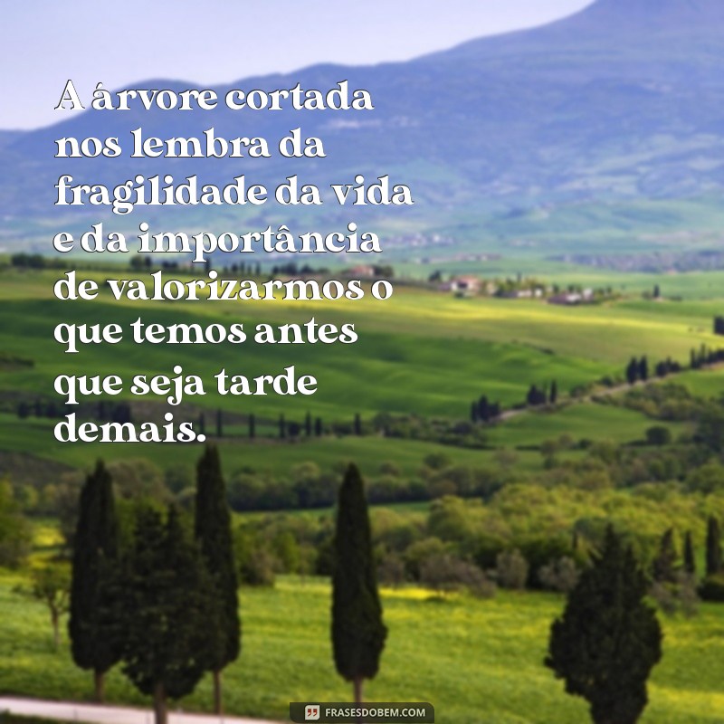 uma reflexão sobre a árvore cortada A árvore cortada nos lembra da fragilidade da vida e da importância de valorizarmos o que temos antes que seja tarde demais.