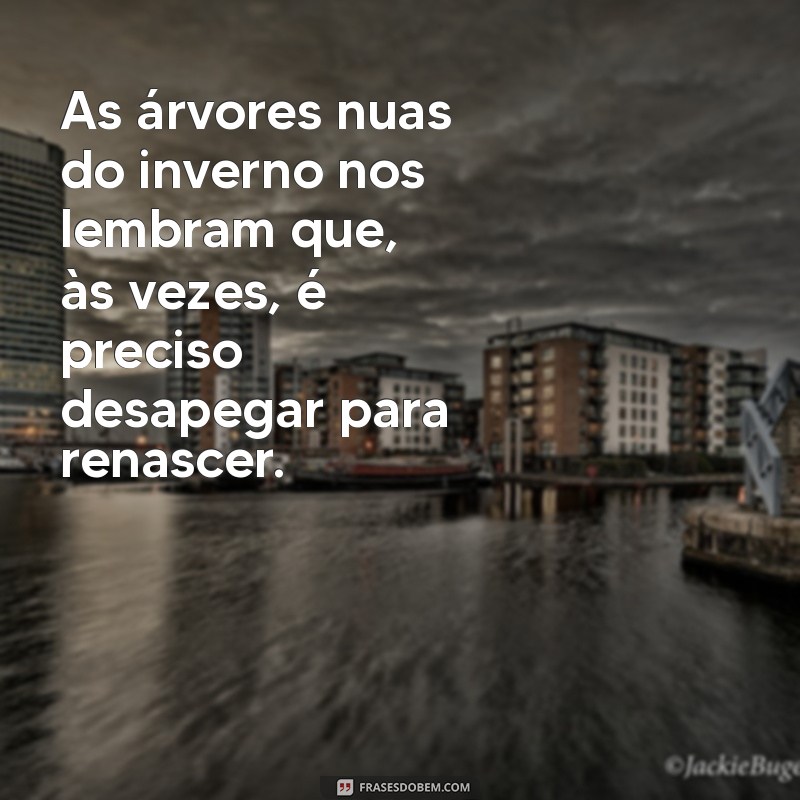 Frases Inspiradoras para Celebrar a Magia do Inverno 