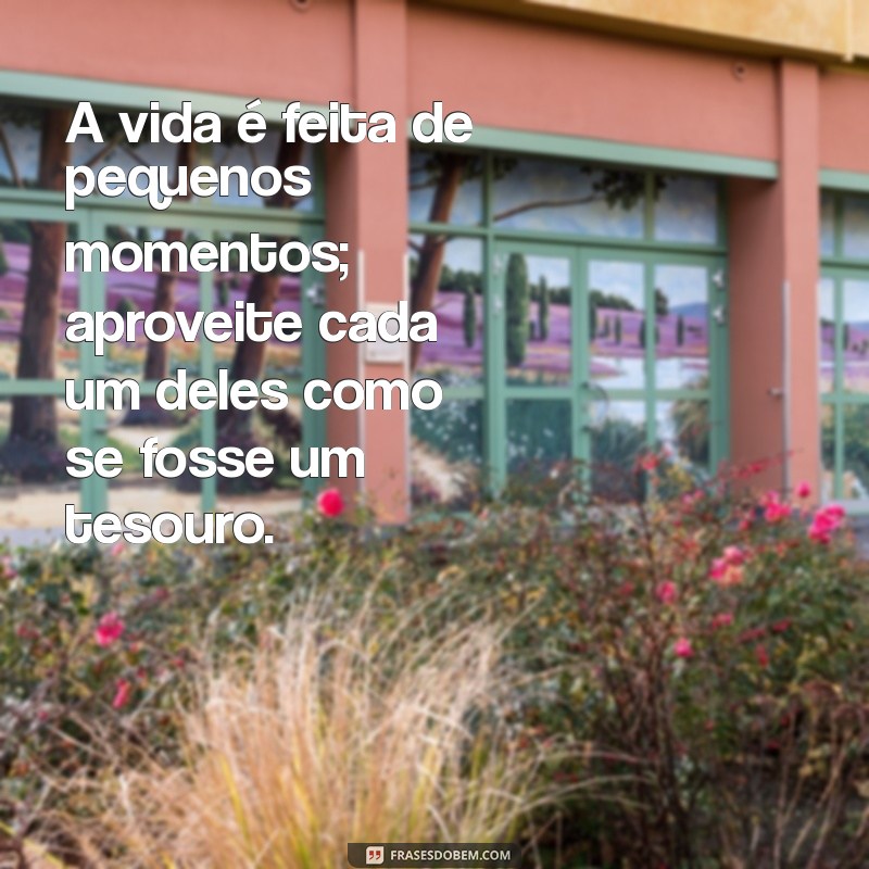 mensagens encantadoras A vida é feita de pequenos momentos; aproveite cada um deles como se fosse um tesouro.