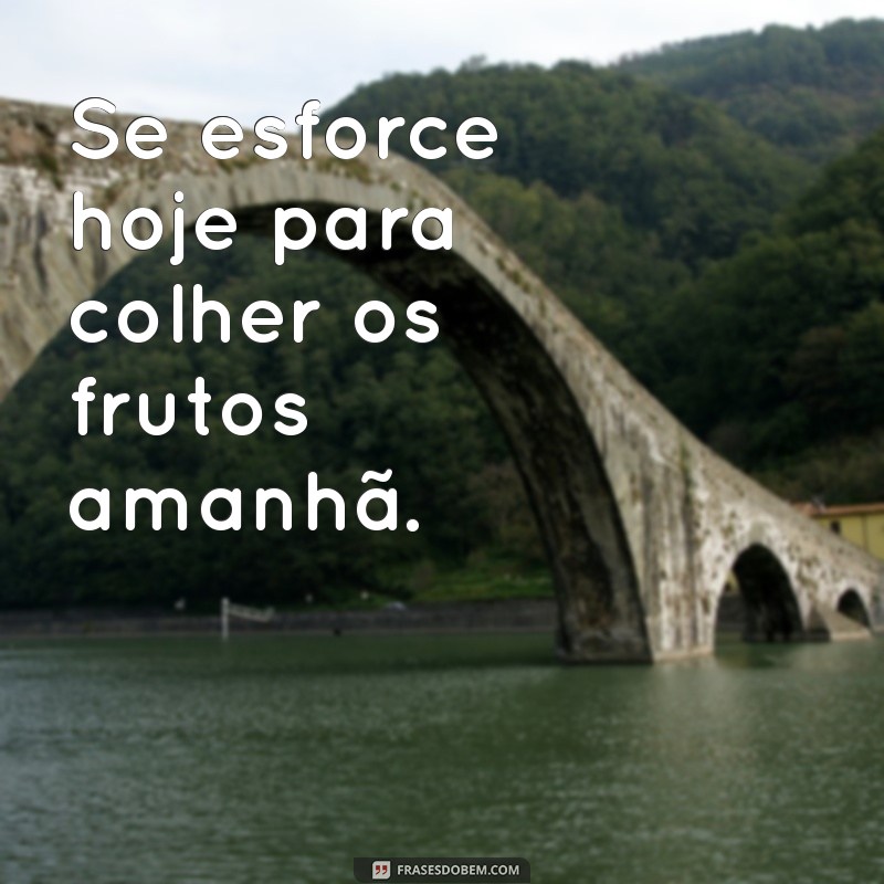 Como Dar o Seu Melhor Todos os Dias: Dicas para Aumentar sua Produtividade e Motivação 