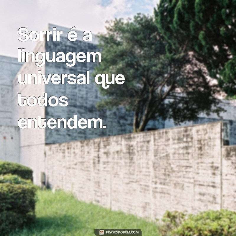 frases sobre sorrir Sorrir é a linguagem universal que todos entendem.