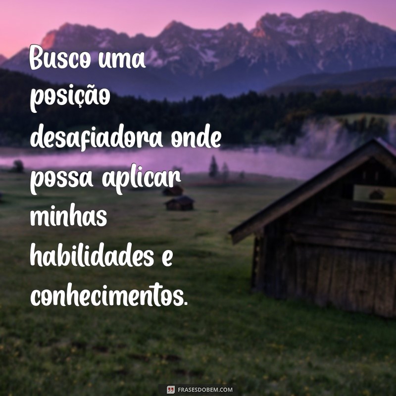 o que colocar no currículo em objetivo Busco uma posição desafiadora onde possa aplicar minhas habilidades e conhecimentos.