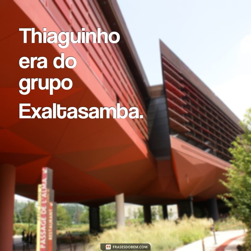 thiaguinho era de qual grupo Thiaguinho era do grupo Exaltasamba.