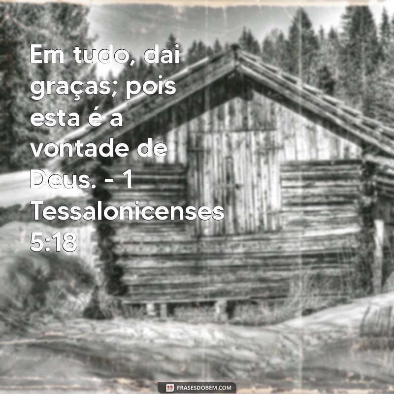 Versículos Bíblicos Inspiradores sobre Fé e Gratidão para Fortalecer sua Espiritualidade 