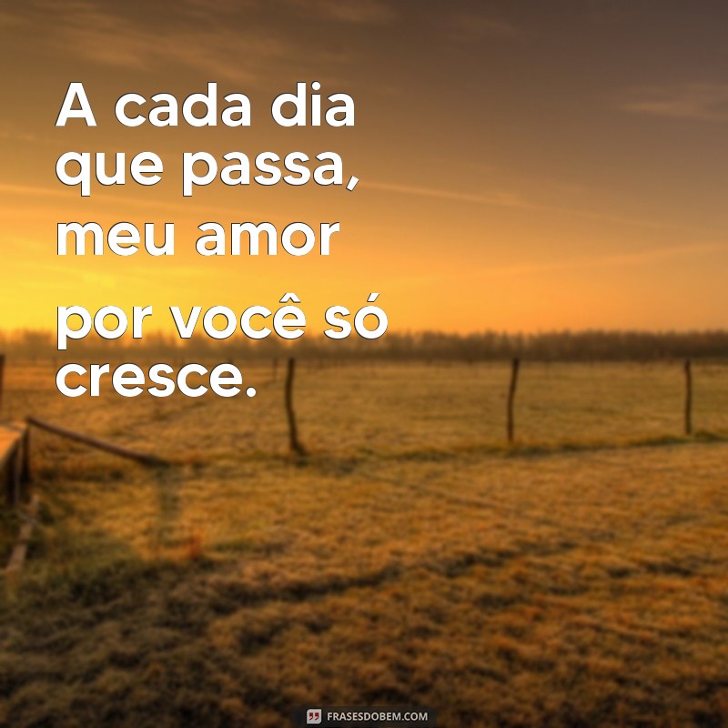 Frases de Amor: Encontre a Inspiração Perfeita para Declarar seu Sentimento 