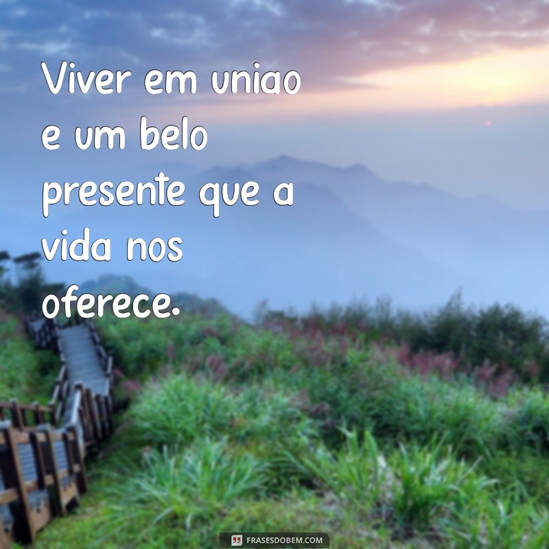 Os Benefícios da União entre Irmãos: Como Viver em Harmonia 