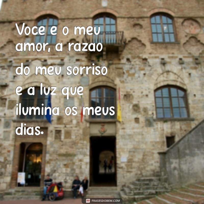 frases linda pro namorado Você é o meu amor, a razão do meu sorriso e a luz que ilumina os meus dias.