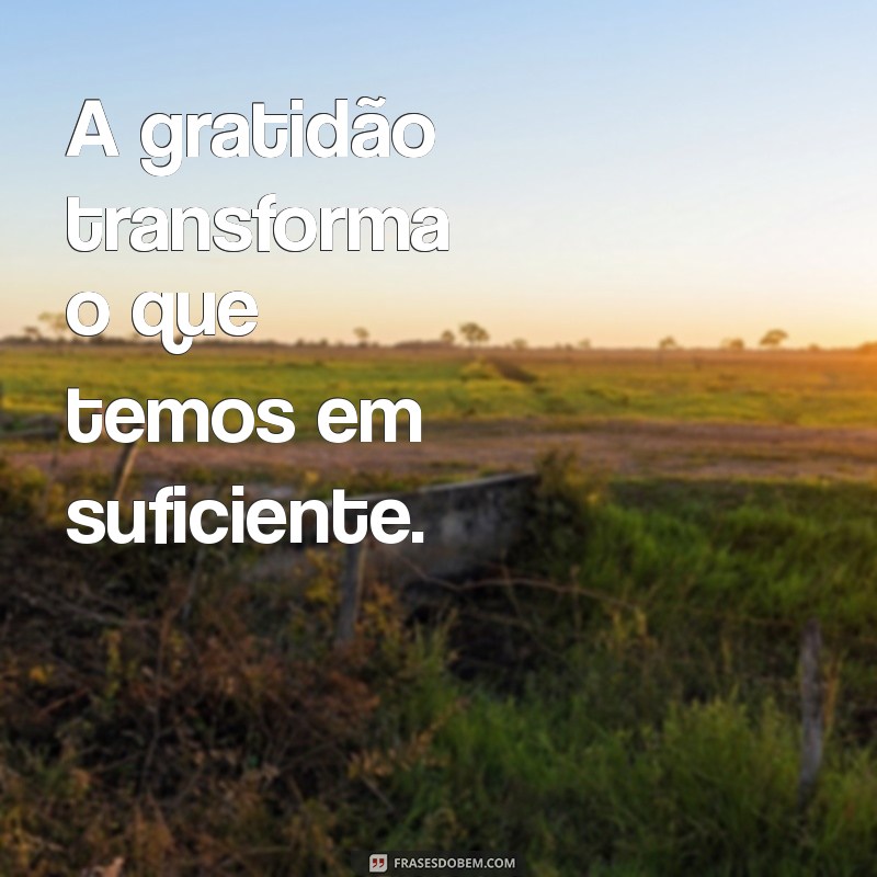 As Melhores Frases para WhatsApp: Inspire e Compartilhe com Estilo! 