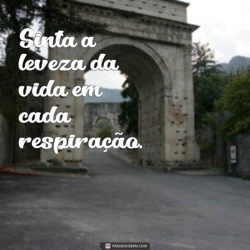 sinta a leveza da vida Sinta a leveza da vida em cada respiração.