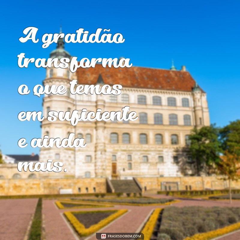 frases de gratidão 2023 A gratidão transforma o que temos em suficiente e ainda mais.