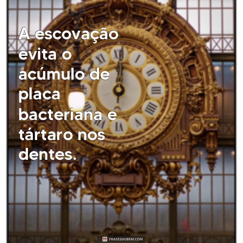 29 frases motivadoras para manter a saúde bucal em dia com a escovação dos dentes 