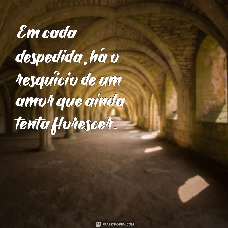 Frases Impactantes para Superar um Ex-Amor e Seguir em Frente 