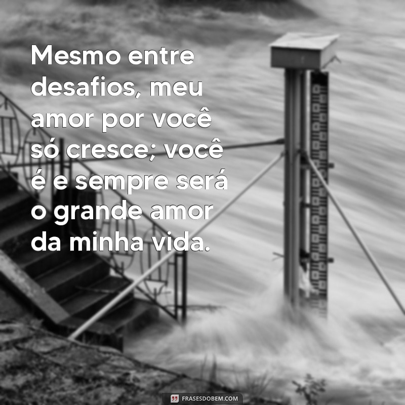 Você é e Sempre Será o Grande Amor da Minha Vida: Uma Declaração de Amor Eterno 