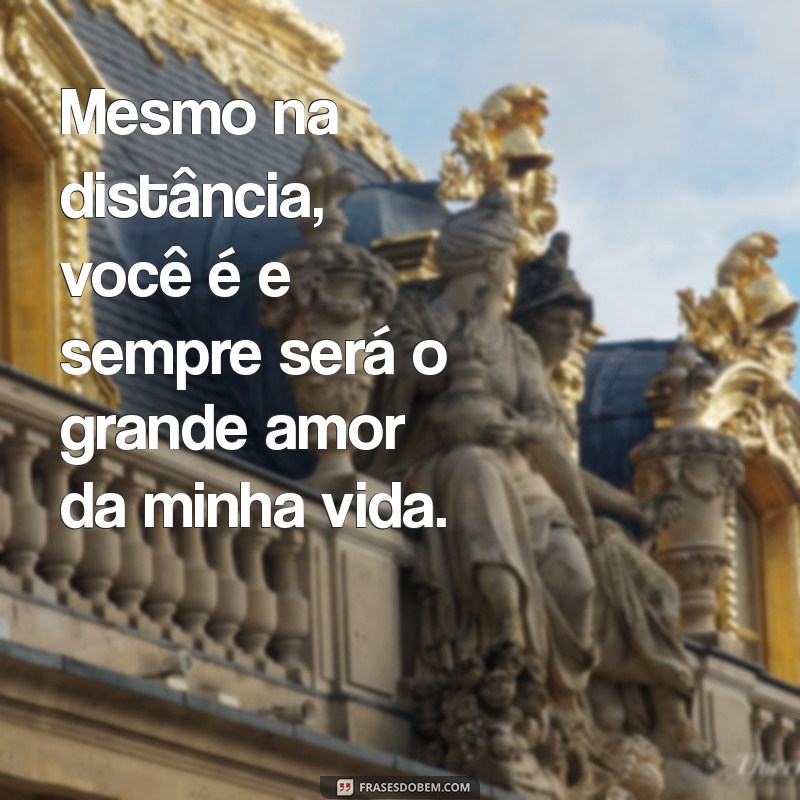 Você é e Sempre Será o Grande Amor da Minha Vida: Uma Declaração de Amor Eterno 