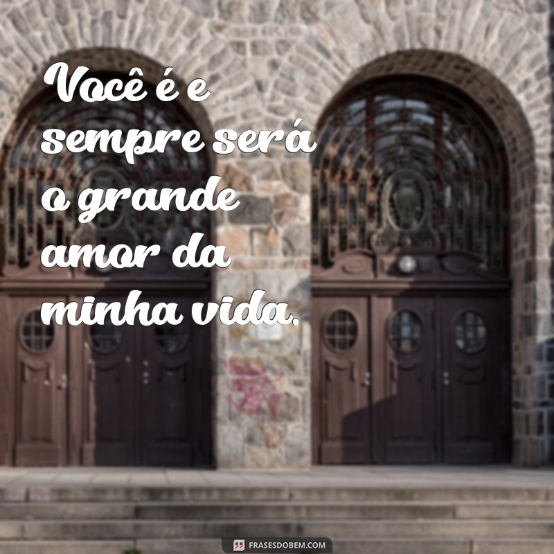 você e sempre sera o grande amor da minha vida Você é e sempre será o grande amor da minha vida.