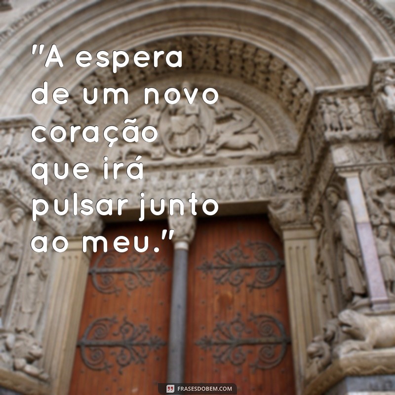 frases ensaio gestante 