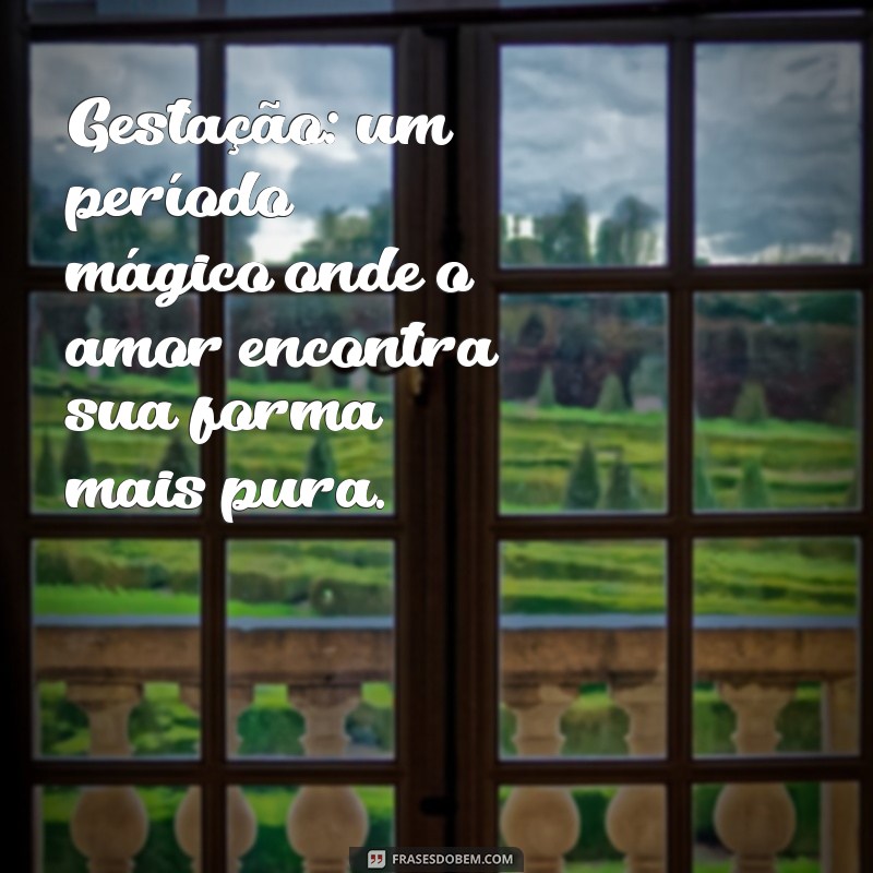 Frases Inspiradoras para Ensaio Gestante: Capturando Momentos Únicos da Maternidade 