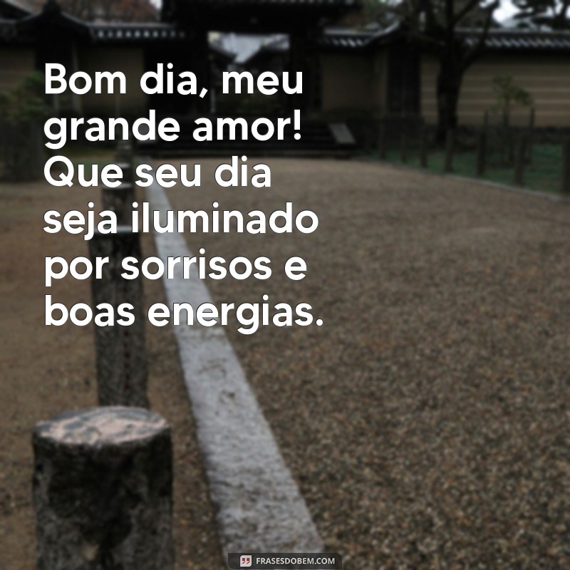 bom dia meu grande amor Bom dia, meu grande amor! Que seu dia seja iluminado por sorrisos e boas energias.