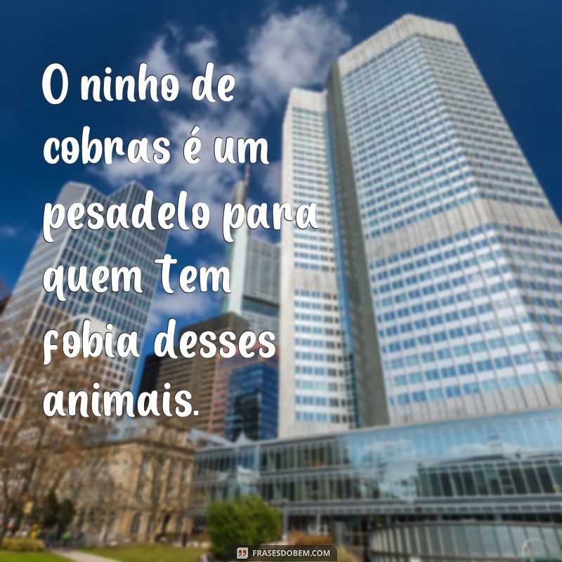 Descubra as Melhores Frases sobre Ninhos de Cobras e Surpreenda-se! 