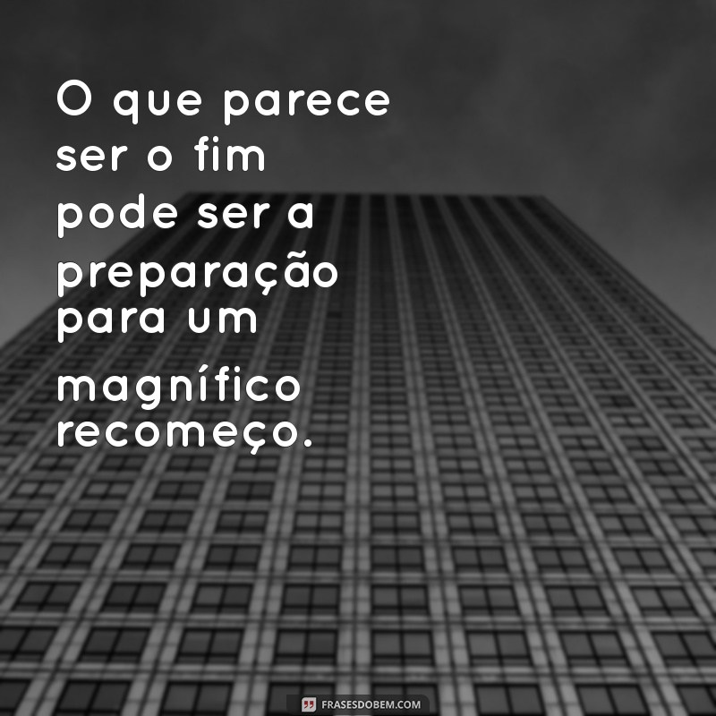 Renovação e Esperança: O Futuro das Árvores Cortadas 