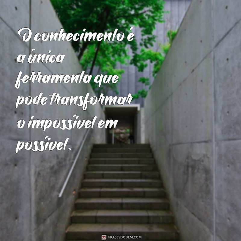 Frases Inteligentes para Inspirar e Refletir: O Pensador em Palavras 