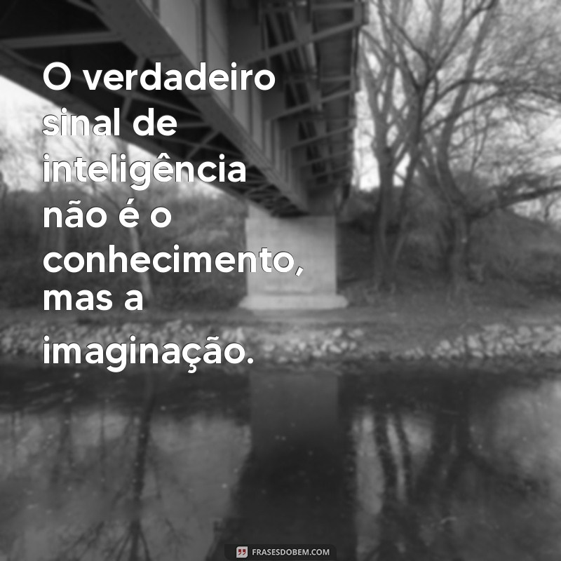 Frases Inteligentes para Inspirar e Refletir: O Pensador em Palavras 