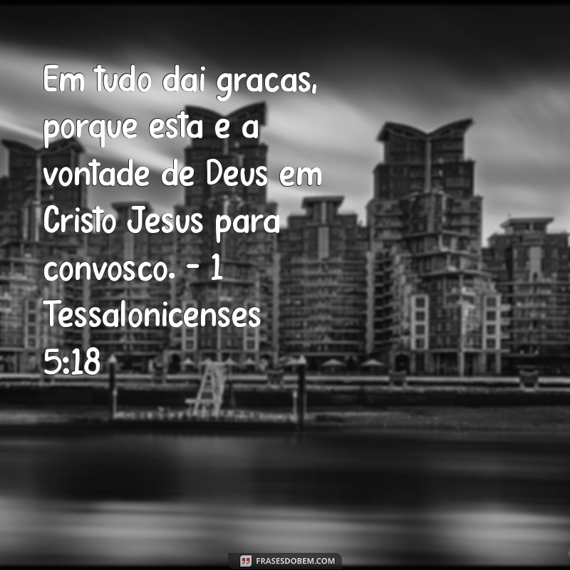 Versículos Bíblicos Inspiradores: Mensagens de Esperança e Fé 