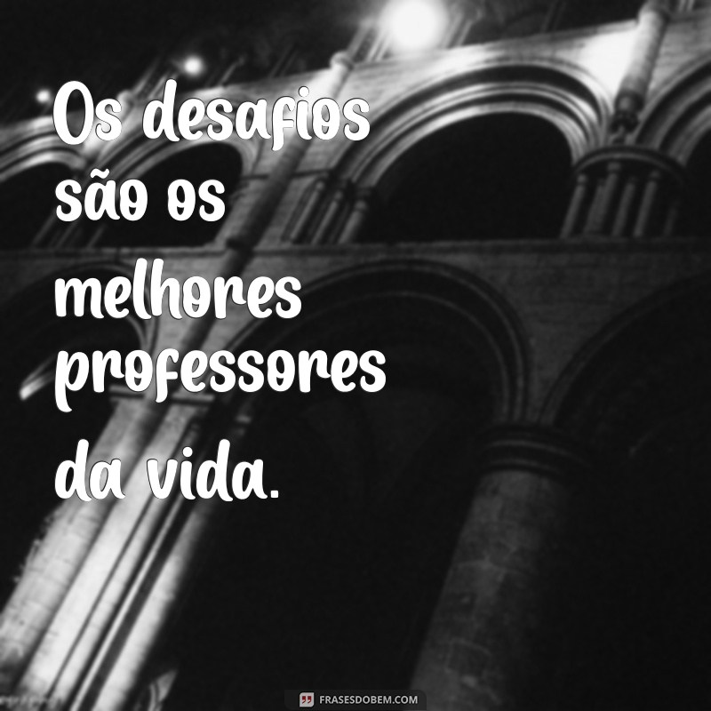 Frases Inspiradoras sobre Resiliência para Bombar seu Instagram 