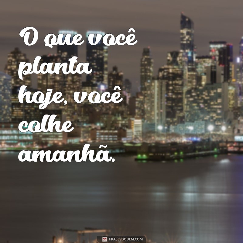 Frases e Mensagens Inspiradoras para Compartilhar e Refletir 