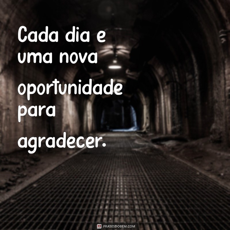 Descubra o Poder da Gratidão: Como Praticá-la e Transformar Sua Vida 