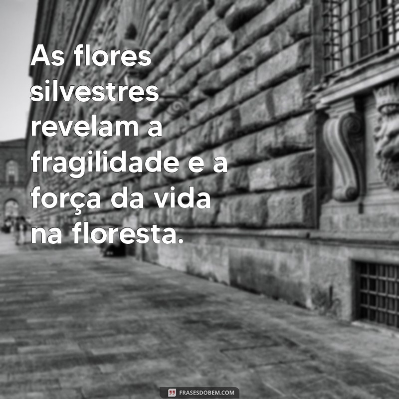 Descubra Frases Inspiradoras sobre Florestas: Conecte-se com a Natureza 