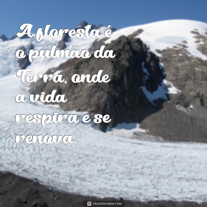 frases sobre floresta A floresta é o pulmão da Terra, onde a vida respira e se renova.