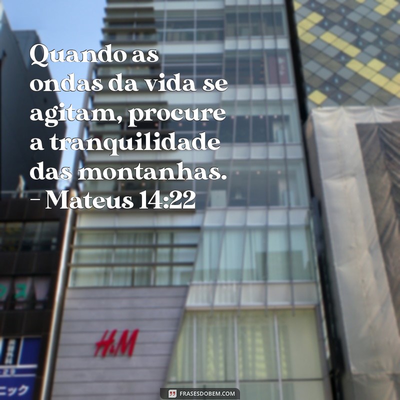 Mateus 14:22 - A História de Pedro e o Caminho Sobre as Águas 