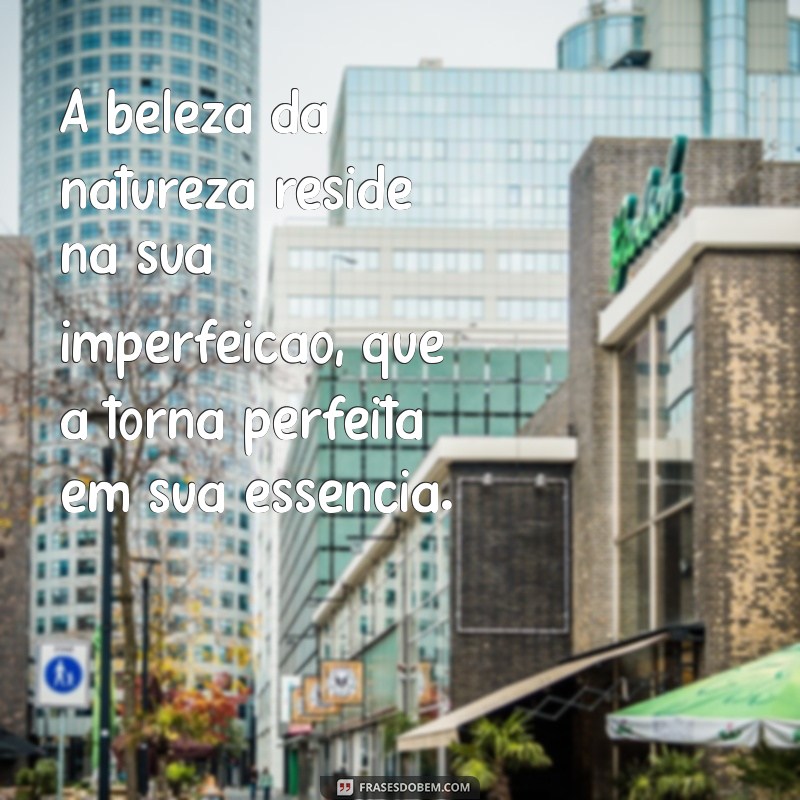 Frases Inspiradoras sobre a Natureza: Conexões e Reflexões 