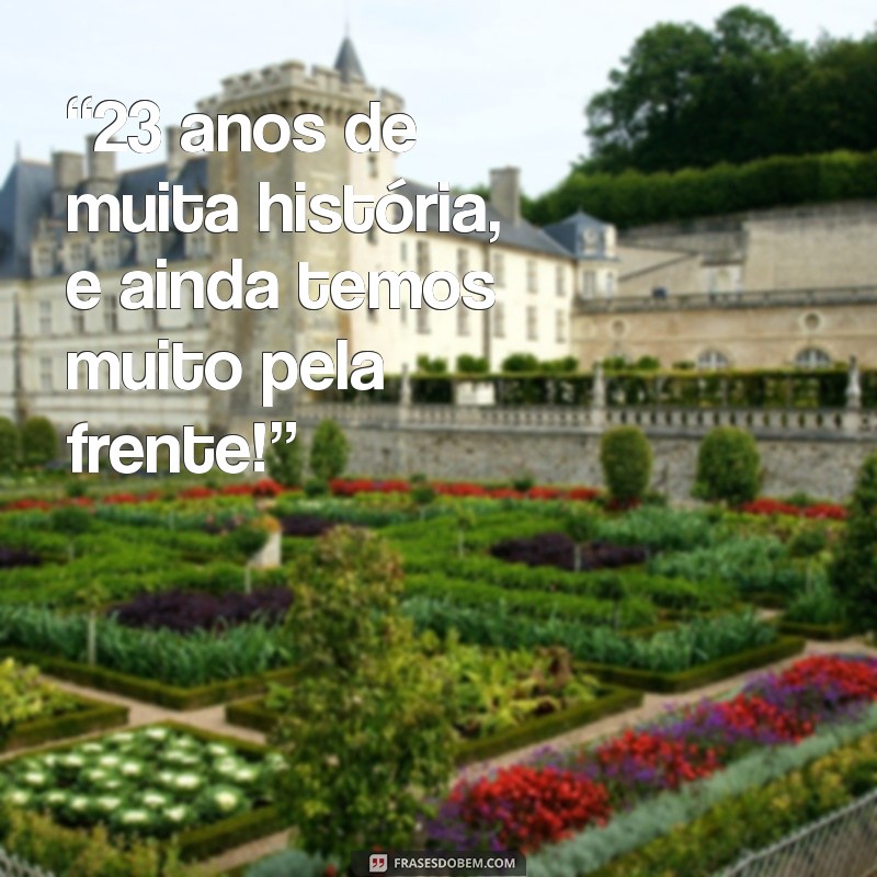 Frases Inspiradoras para Celebrar Meu 23º Aniversário: Reflexões e Mensagens 