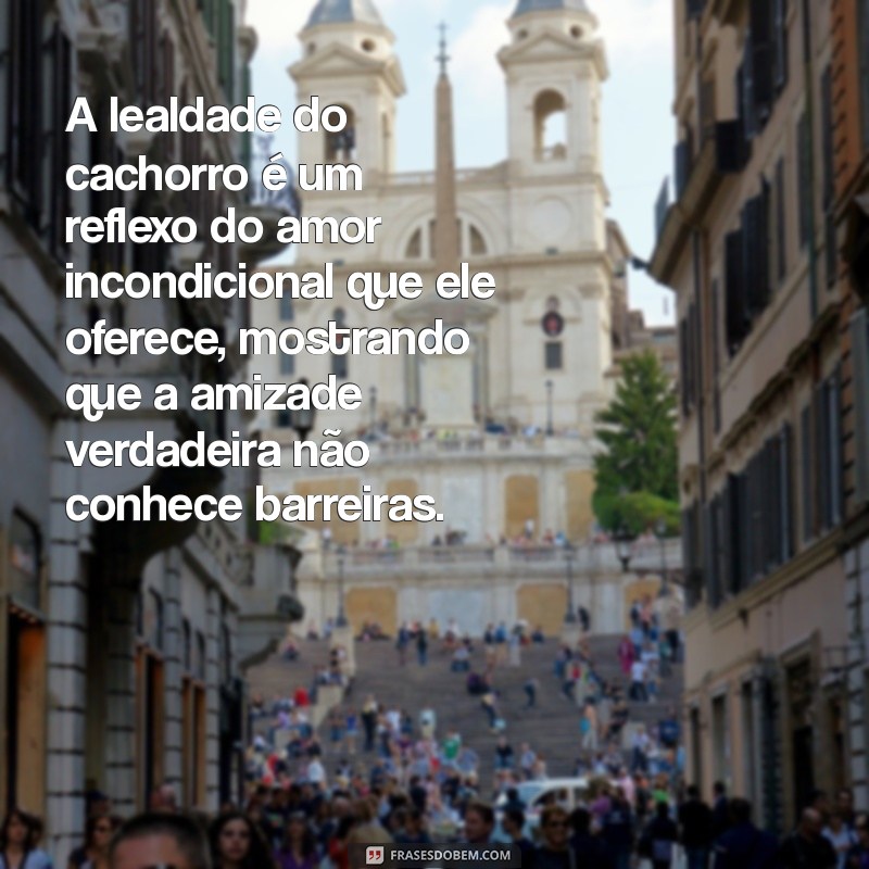 texto sobre animais A lealdade do cachorro é um reflexo do amor incondicional que ele oferece, mostrando que a amizade verdadeira não conhece barreiras.