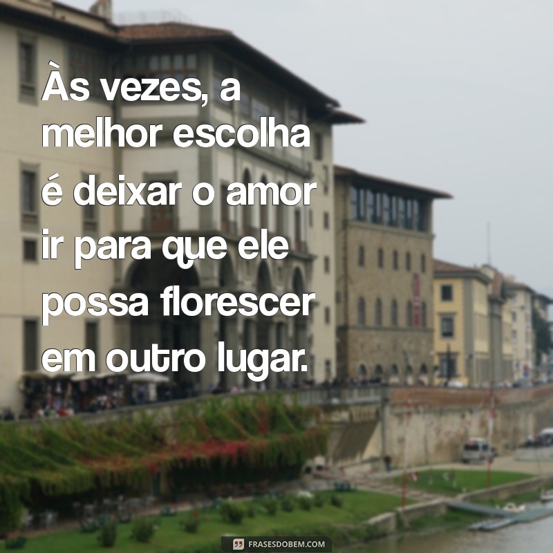 frases para separação Às vezes, a melhor escolha é deixar o amor ir para que ele possa florescer em outro lugar.