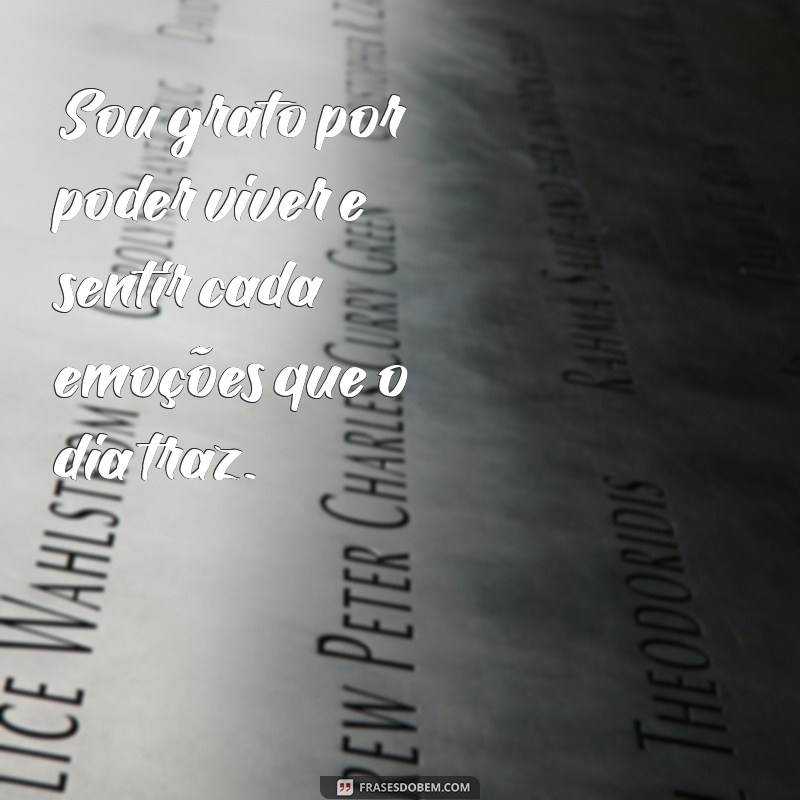 Descubra o Poder da Gratidão: Celebre Mais um Dia de Vida 