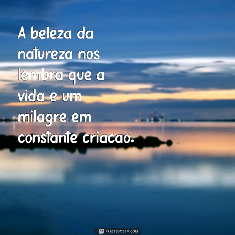 Frases Inspiradoras: A Vida é um Milagre que Merece Ser Celebrado 