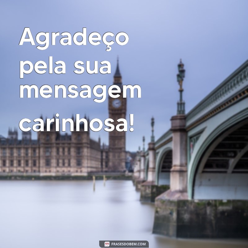 obrigado pela mensagem Agradeço pela sua mensagem carinhosa!