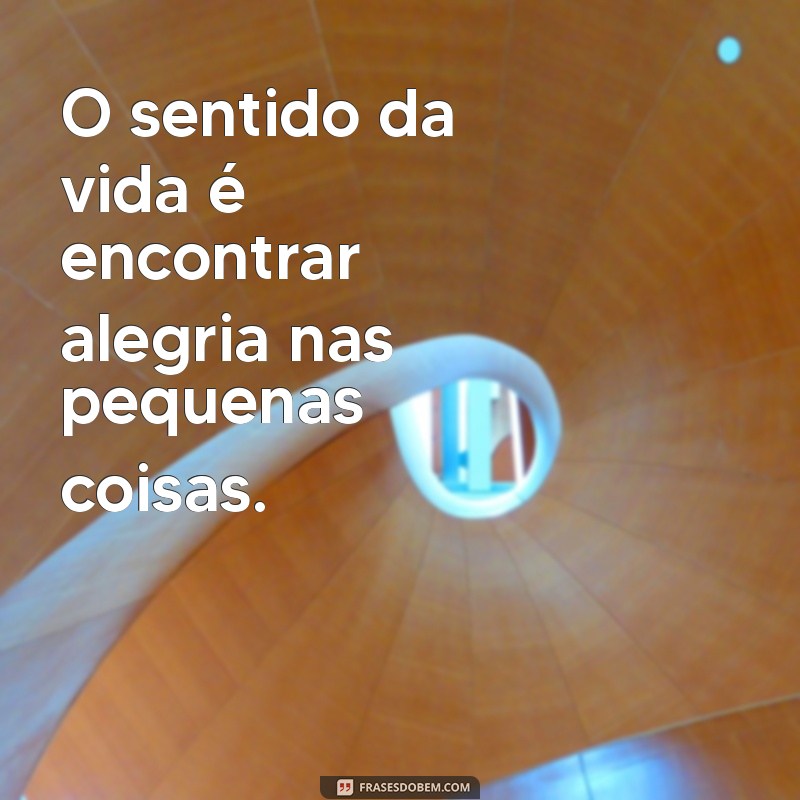 o sentido da vida O sentido da vida é encontrar alegria nas pequenas coisas.