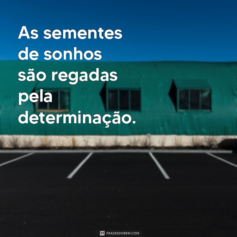 Frases Inspiradoras sobre Semear e Colher: Reflexões para sua Vida 