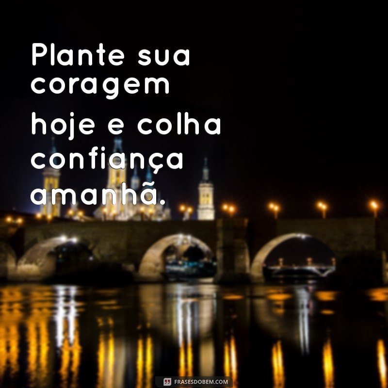 Frases Inspiradoras sobre Semear e Colher: Reflexões para sua Vida 