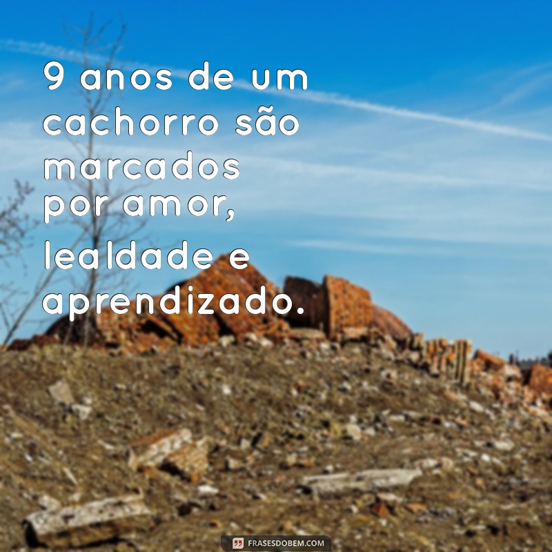 Como Calcular a Idade de um Cachorro: 9 Anos em Anos Humanos 