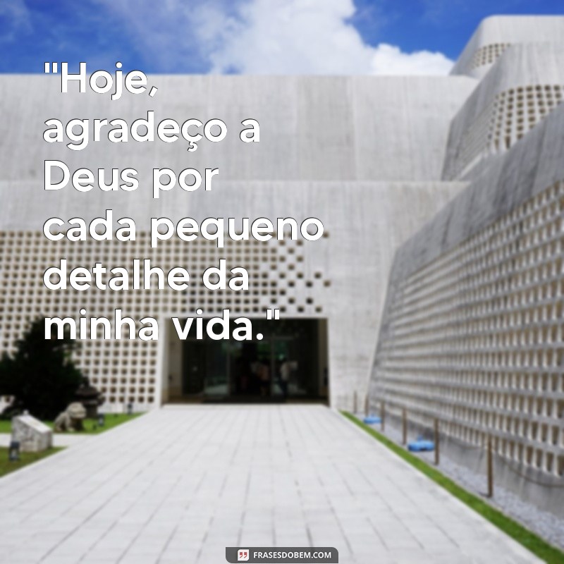 frases do dia gratidão a deus 