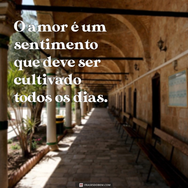 frases 365 dias para amar O amor é um sentimento que deve ser cultivado todos os dias.