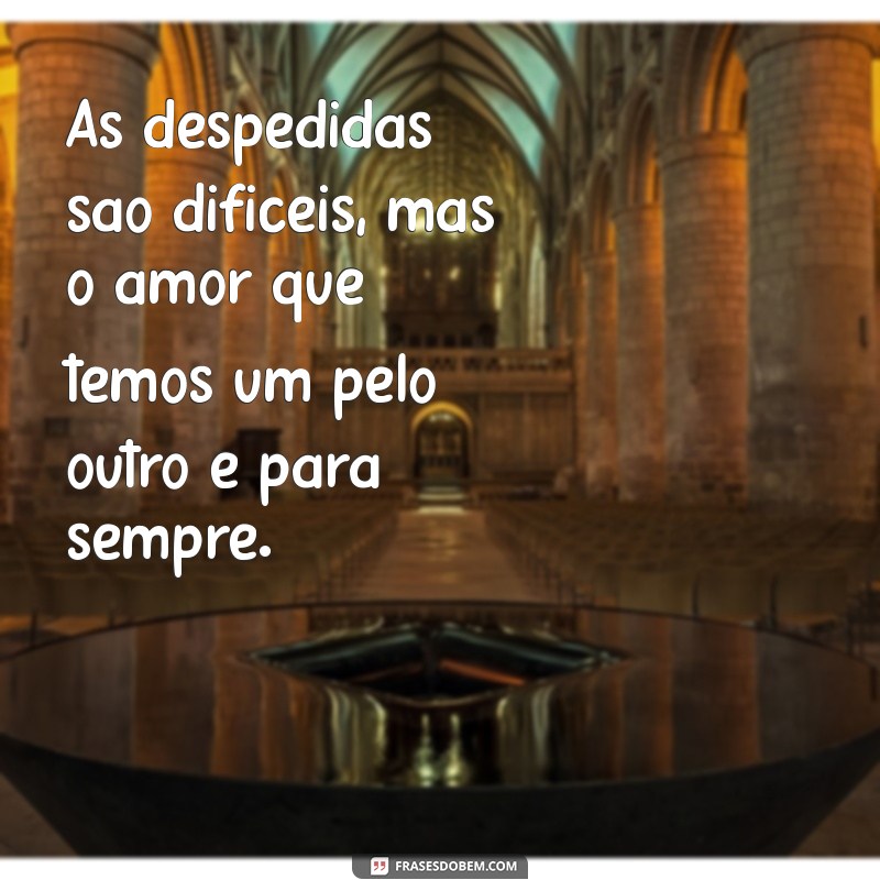 Frases de Luto para Homenagear Seu Primo: Mensagens de Conforto e Lembrança 