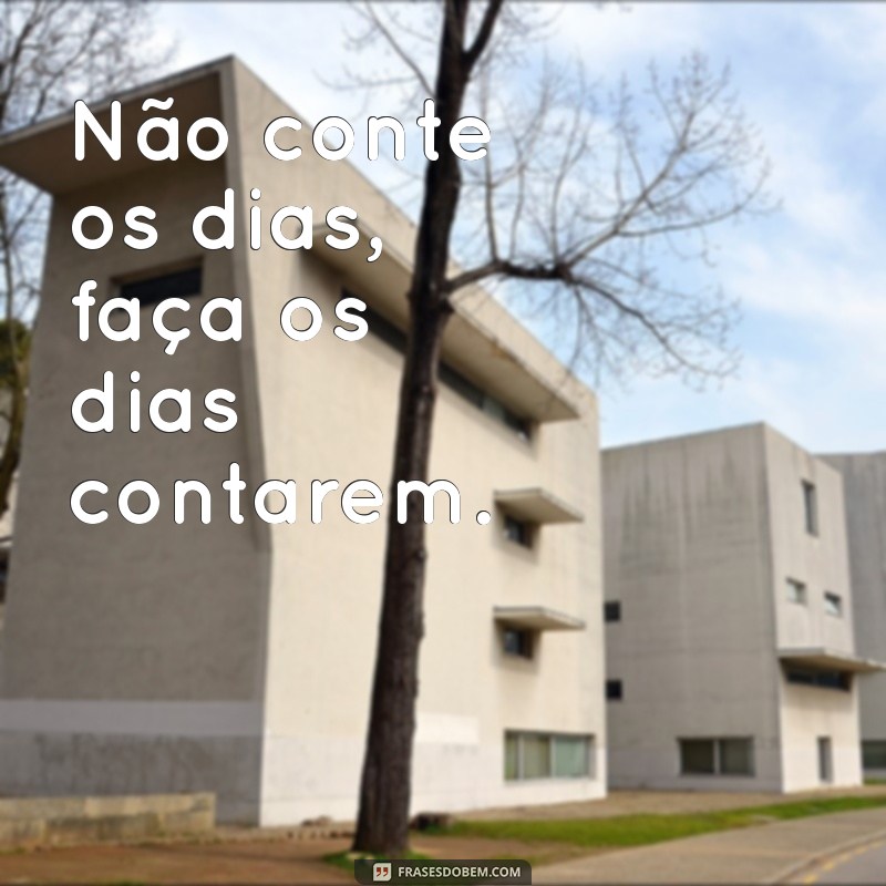 Frases Bacanas: Inspirações Criativas para Compartilhar e Refletir 