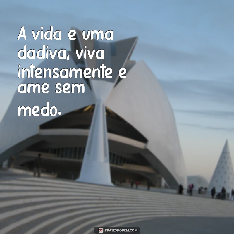 Descubra as melhores frases sobre a vida e o amor para se inspirar 